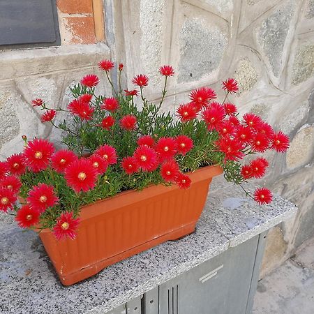 House Vittone Venaria Reale Apartment Екстериор снимка