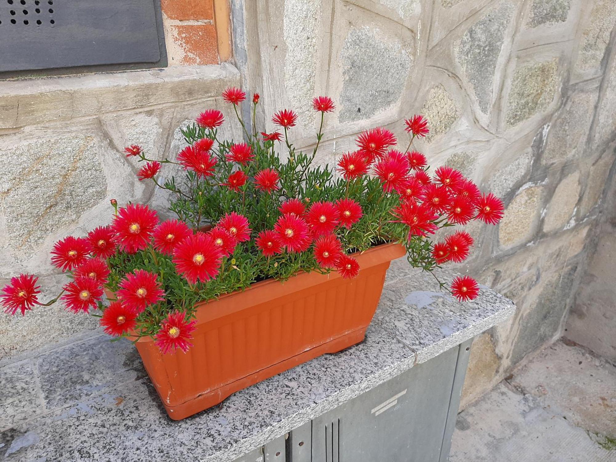 House Vittone Venaria Reale Apartment Екстериор снимка